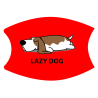 Lazy38