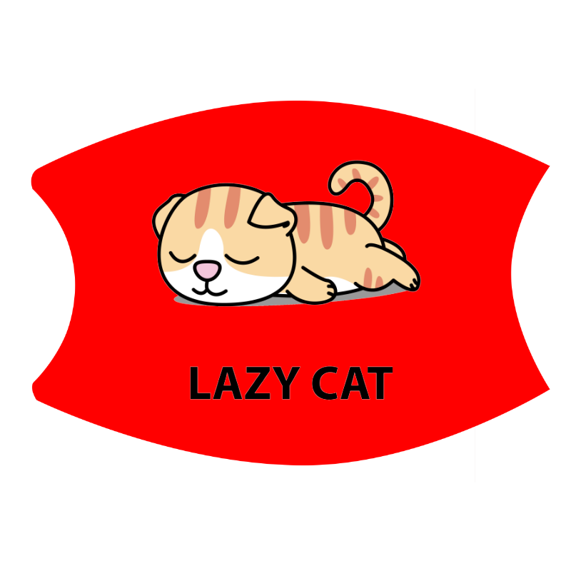Lazy43