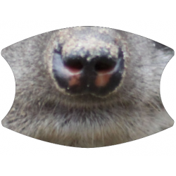 ANI11 - 2 Layer