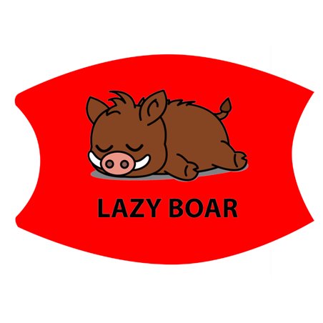 2 Layer Cotton Face Mask - CTM6