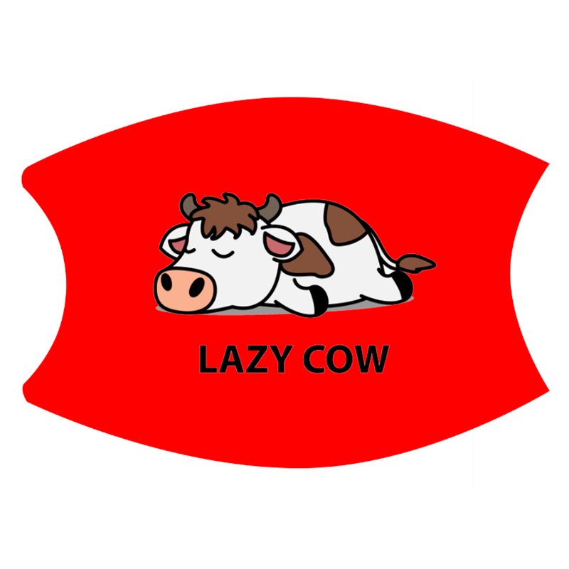 2 Layer Cotton Face Mask - CTM29