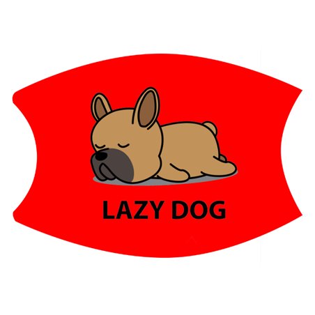 2 Layer Cotton Face Mask - CTM57