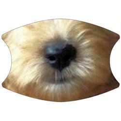 2 Layer Cotton Face Mask - CTM79