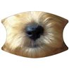 2 Layer Cotton Face Mask - CTM79