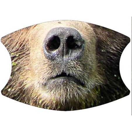 2 Layer Cotton Face Mask - CTM80