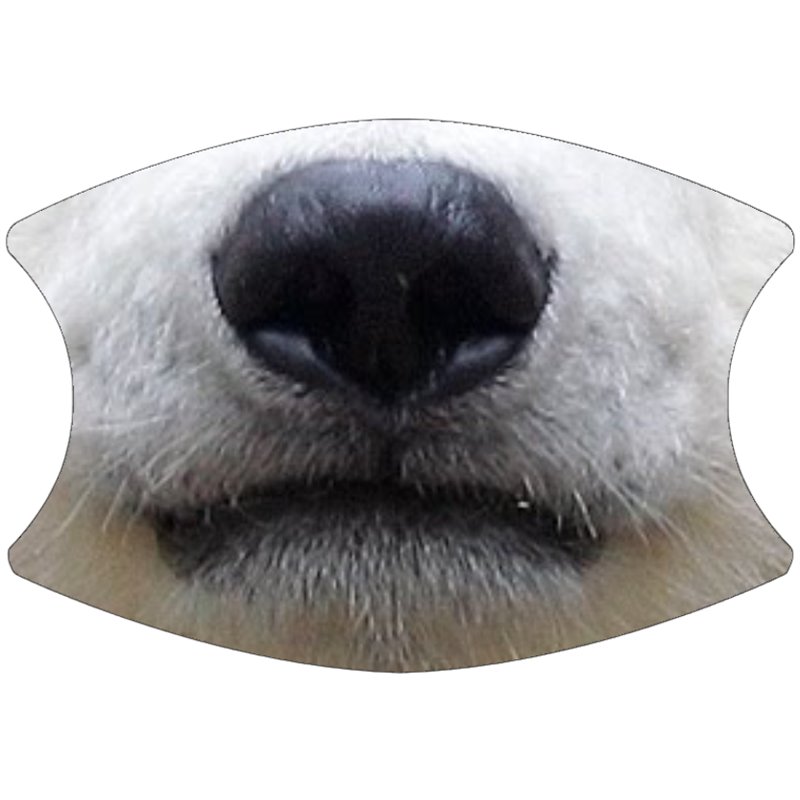 2 Layer Cotton Face Mask - CTM82