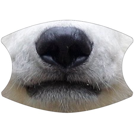 2 Layer Cotton Face Mask - CTM82