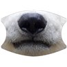 2 Layer Cotton Face Mask - CTM82