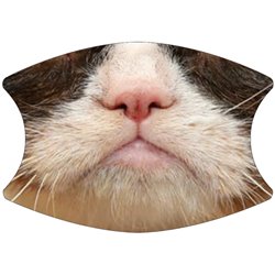 2 Layer Cotton Face Mask - CTM83