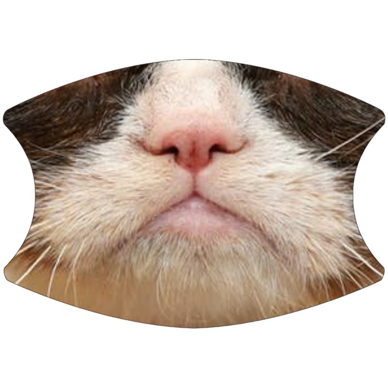 2 Layer Cotton Face Mask - CTM83