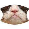 2 Layer Cotton Face Mask - CTM83