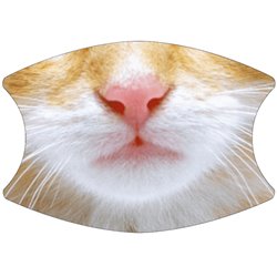 2 Layer Cotton Face Mask - CTM85