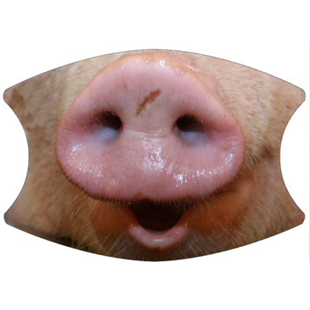 2 Layer Cotton Face Mask - CTM86