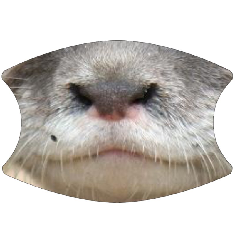 2 Layer Cotton Face Mask - CTM87