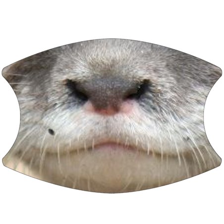 2 Layer Cotton Face Mask - CTM87