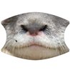 2 Layer Cotton Face Mask - CTM87