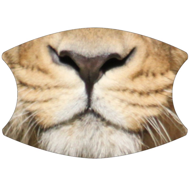 2 Layer Cotton Face Mask - CTM88