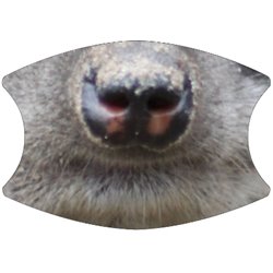 2 Layer Cotton Face Mask - CTM89