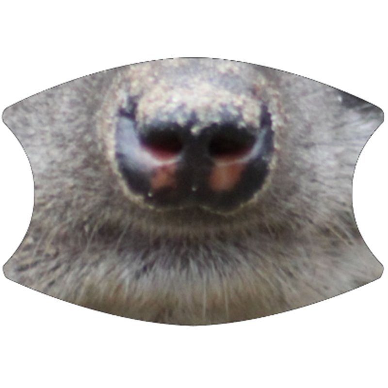 2 Layer Cotton Face Mask - CTM89