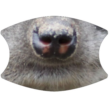 2 Layer Cotton Face Mask - CTM89