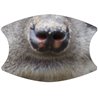 2 Layer Cotton Face Mask - CTM89