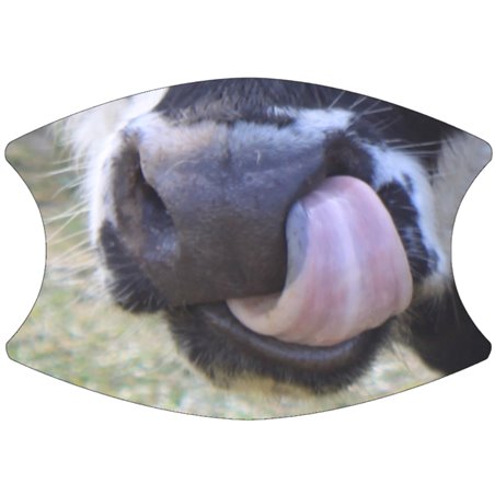 2 Layer Cotton Face Mask - CTM94