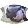 2 Layer Cotton Face Mask - CTM94
