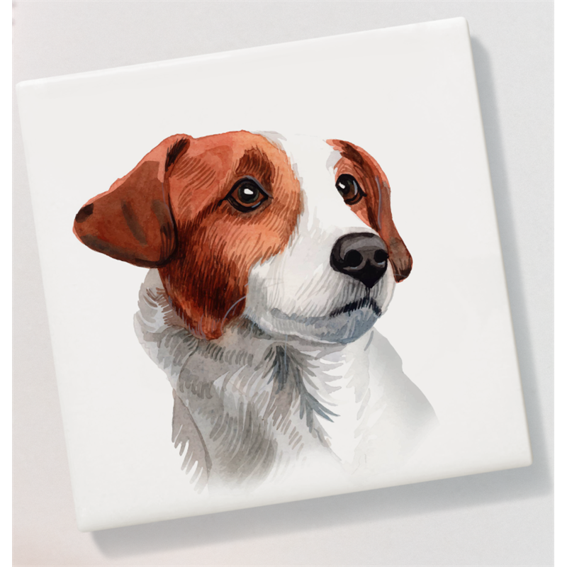 Ceramic Coaster - 10cm CTBC(6)