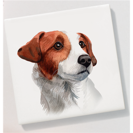 Ceramic Coaster - 10cm CTBC(6)