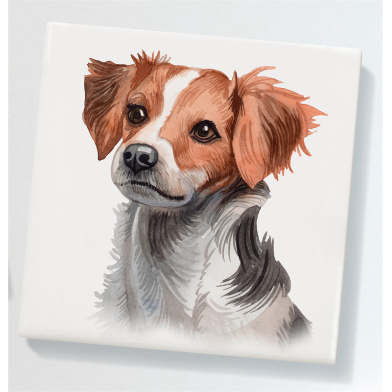 Ceramic Coaster - 10cm CTBC(7)