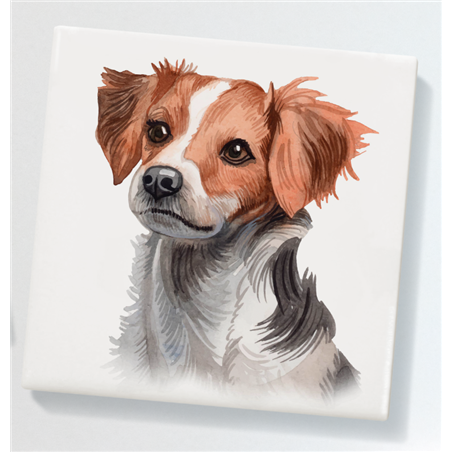 Ceramic Coaster - 10cm CTBC(7)