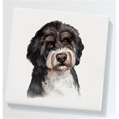 Ceramic Coaster - 10cm CTBC(8)