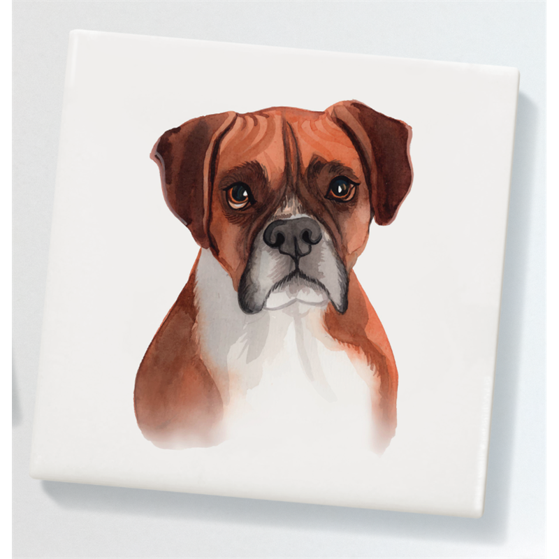 Ceramic Coaster - 10cm CTBC(9)