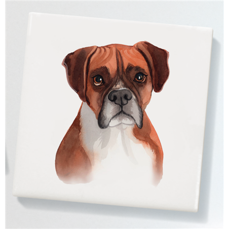 Ceramic Coaster - 10cm CTBC(9)