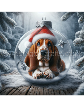 Bassett hound