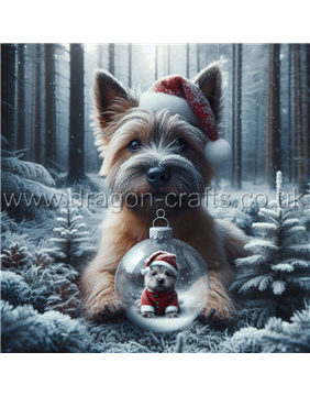 Cairn terrier