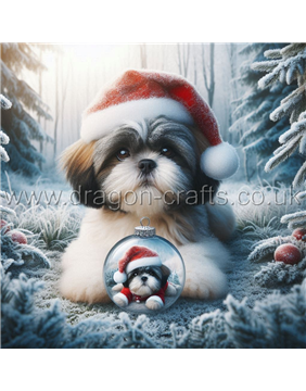 Shih Tzu