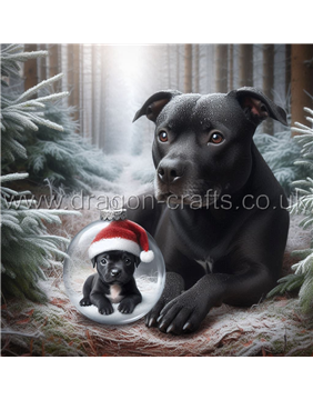 Staffordshire terrier