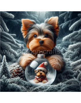 Yorkshire terrier