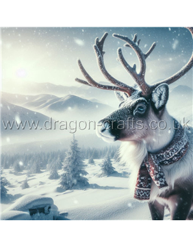 Reindeer (2)